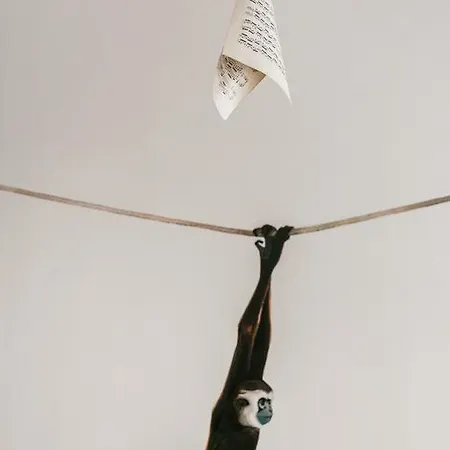 Molnar 21 * Βουδαπέστη